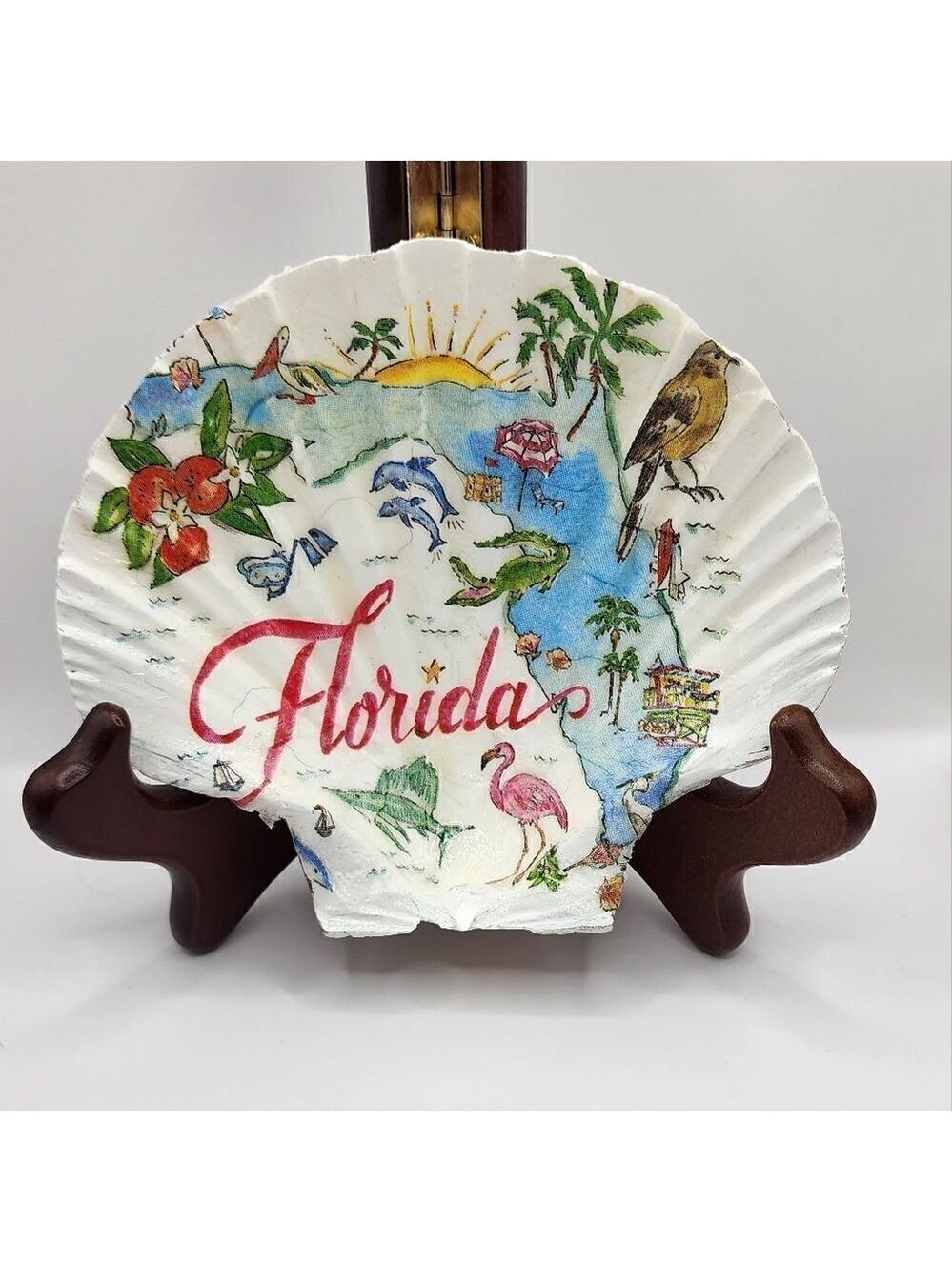 SCALLOPED FAN SHELL 